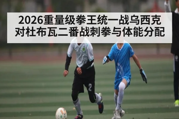 2026重量级拳王统一战乌西克对杜布瓦二番战刺拳与体能分配